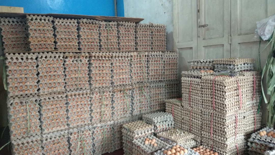 AGEN TELUR AYAM NEGERI PALEMBANG