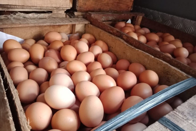 JUAL TELUR DI PALEMBANG