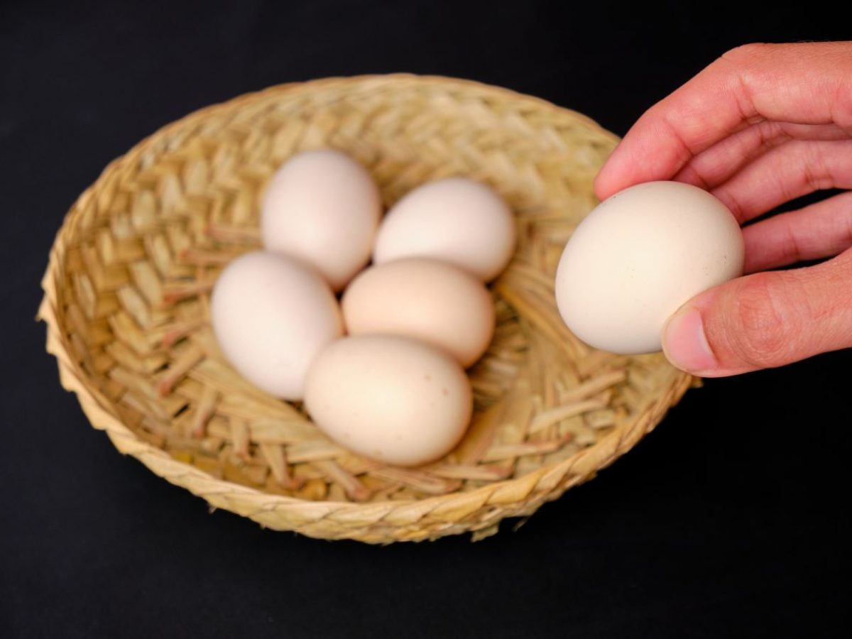 Penjual Telur Ayam Kampung di Palembang