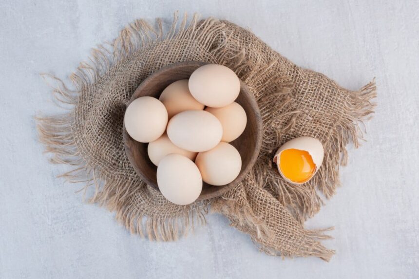 PENJUAL TELUR AYAM KAMPUNG DI PALEMBANG