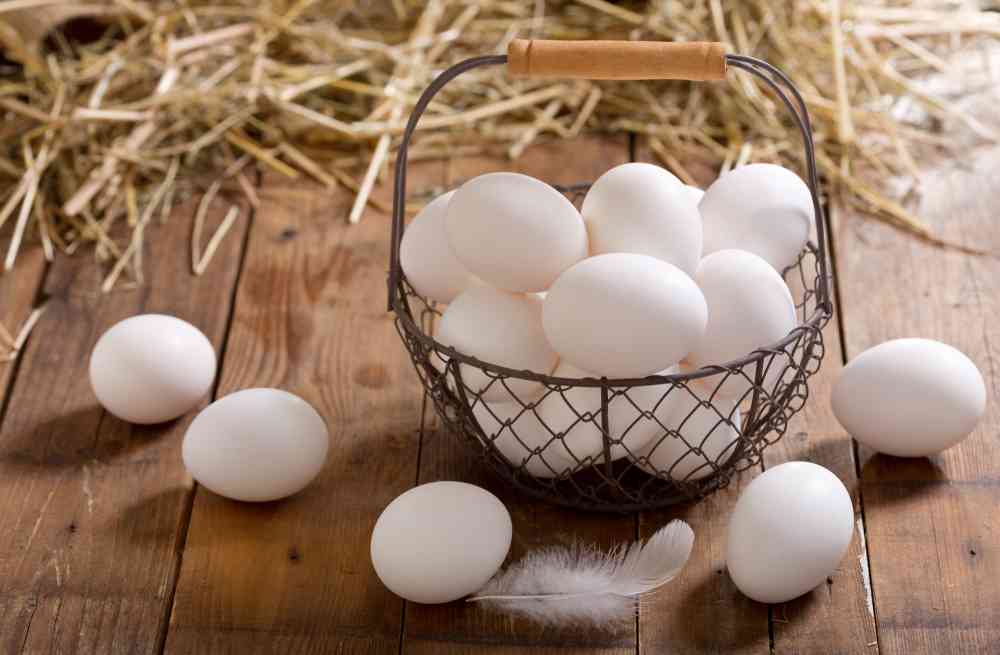 Penjual Telur Ayam Kampung di Palembang